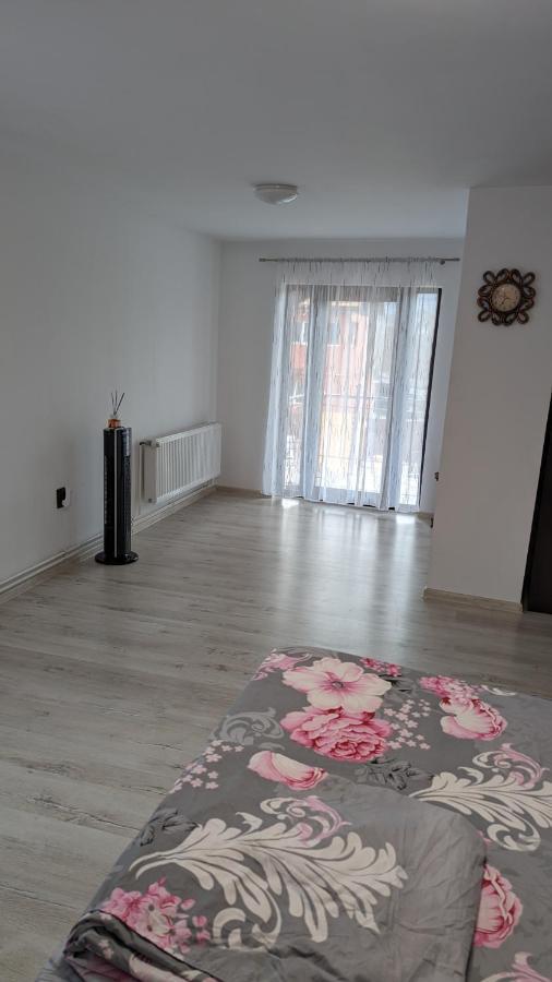 Casa Beatrice Βίλα Călimăneşti Εξωτερικό φωτογραφία