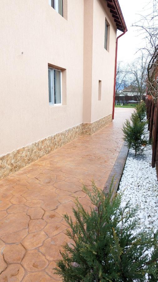 Casa Beatrice Βίλα Călimăneşti Εξωτερικό φωτογραφία